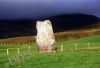 Filename=2-s_s-kilmackowen-web.jpg
Filesize=13KiB
Dimensions=432x295
Date added=May 24, 2008 2-s_s-kilmackowen-web.jpg