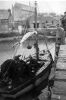 fish_and_drift_nets_1939.jpg