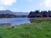 Filename=derreen4.jpg
Filesize=162KiB
Dimensions=432x324
Date added=Jun 04, 2008 derreen4.jpg